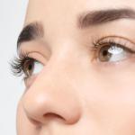 Wimpern von A bis Z: Alles, was Sie über die Struktur und Funktion der Wimpern wissen müssen, um sie besser zu pflegen